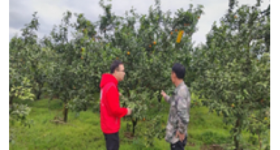 广西桂林农业学校加强科技服务，强力助力春耕